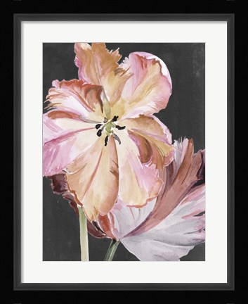 Framed Pastel Parrot Tulips II Print
