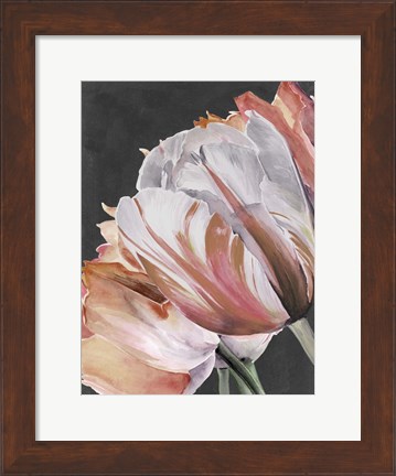 Framed Pastel Parrot Tulips III Print