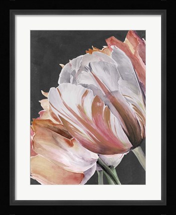 Framed Pastel Parrot Tulips III Print