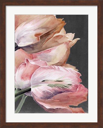 Framed Pastel Parrot Tulips IV Print