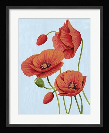Framed Poppy Topple II Print