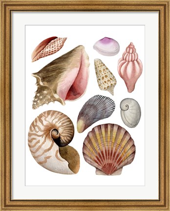 Framed Sea Souvenirs II Print