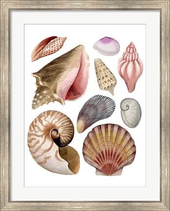 Framed Sea Souvenirs II Print