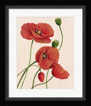 Framed Soft Coral Poppies I Print