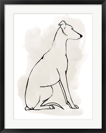 Framed Greyhound Sketch I Print