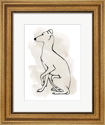 Framed Greyhound Sketch II Print