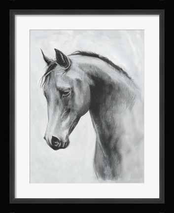 Framed Cavallo II Print