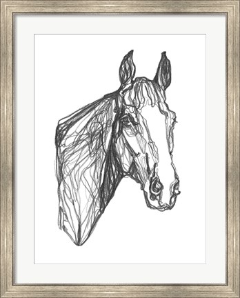 Framed Equine Contour I Print