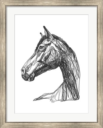 Framed Equine Contour IV Print