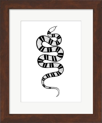 Framed Epidaurus Snake IV Print