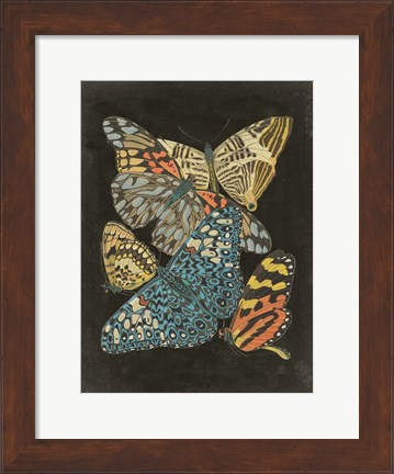 Framed Winged Patterns II Print
