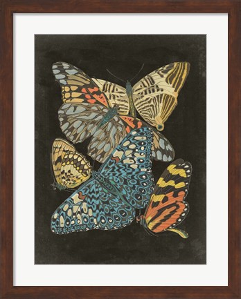 Framed Winged Patterns II Print