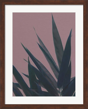 Framed Bamboo Pink II Print