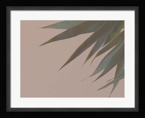 Framed Bamboo Pink III Print