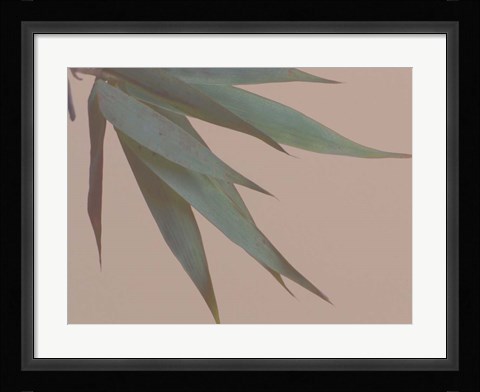 Framed Bamboo Pink IV Print
