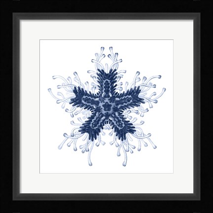 Framed Navy Ocean Gems IV Print