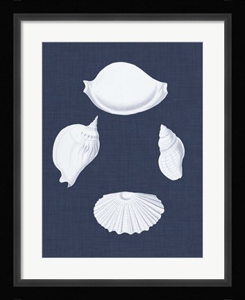 Framed Coquillages Blancs I Print