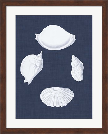 Framed Coquillages Blancs I Print