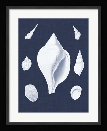 Framed Coquillages Blancs II Print