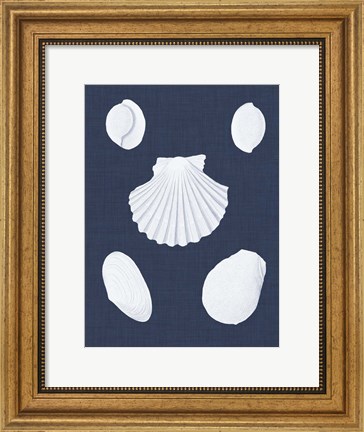 Framed Coquillages Blancs III Print