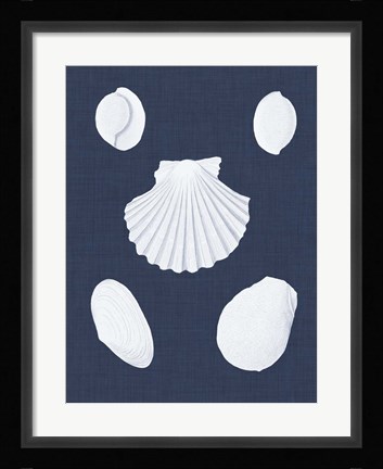 Framed Coquillages Blancs III Print