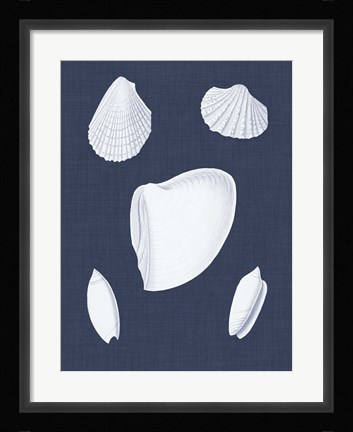 Framed Coquillages Blancs VI Print