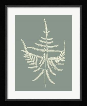 Framed Ferns on Sage I Print