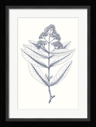 Framed Indigo Botany Study I Print