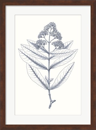 Framed Indigo Botany Study I Print