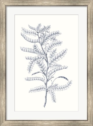 Framed Indigo Botany Study II Print