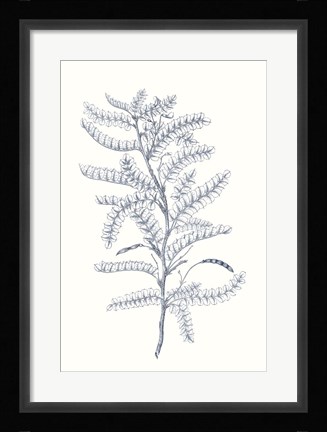 Framed Indigo Botany Study II Print