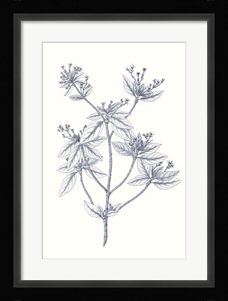 Framed Indigo Botany Study III Print