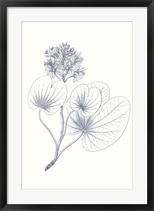 Framed Indigo Botany Study IV Print