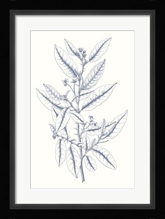 Framed Indigo Botany Study V Print