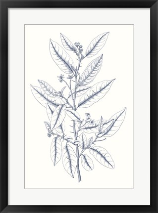 Framed Indigo Botany Study V Print