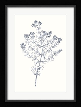 Framed Indigo Botany Study VI Print