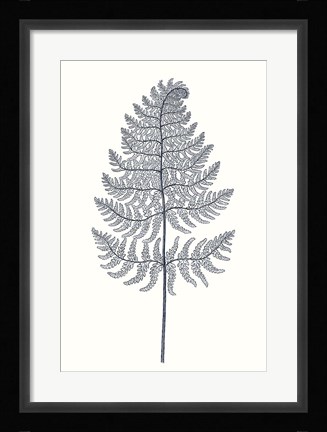 Framed Indigo Botany Study VIII Print