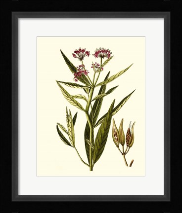 Framed Olive Greenery VIII Print