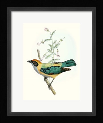 Framed On Perch II Print