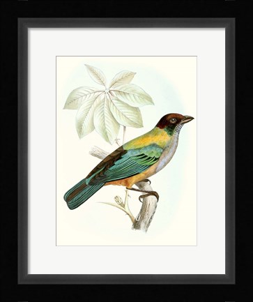 Framed On Perch III Print