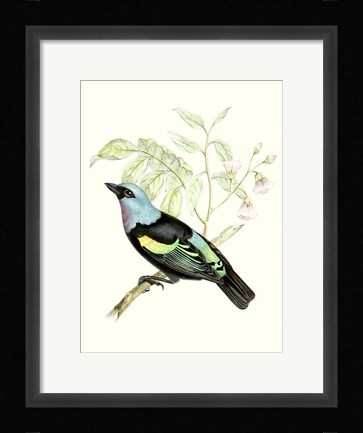 Framed On Perch X Print