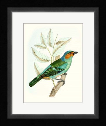 Framed On Perch XI Print