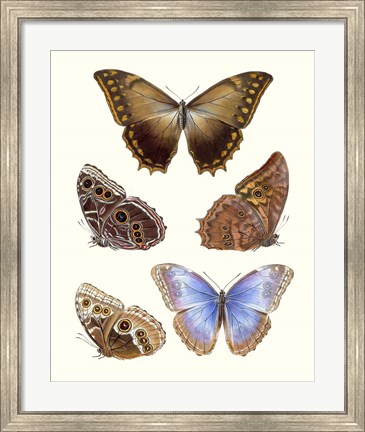 Framed Violet Butterflies I Print