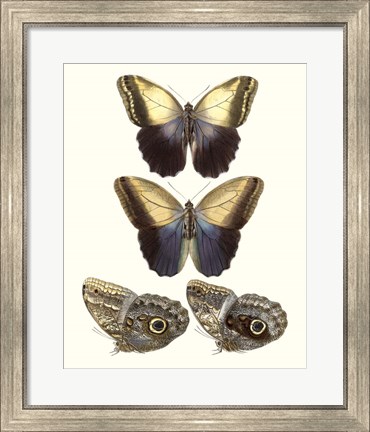 Framed Violet Butterflies III Print