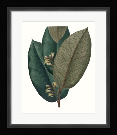 Framed Fall Foliage I Print