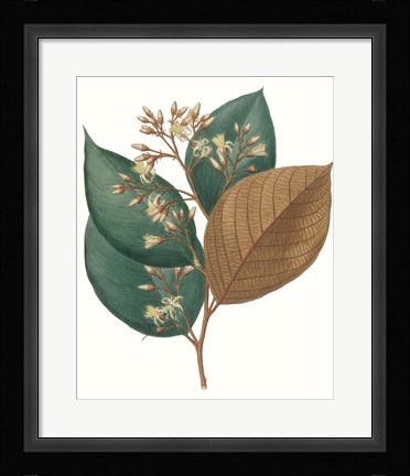 Framed Fall Foliage V Print