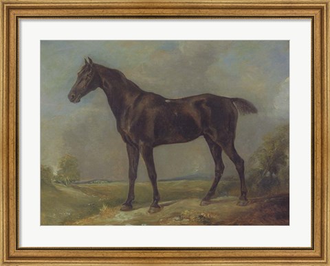 Framed Golding Constable&#39;s Black Riding-Horse Print