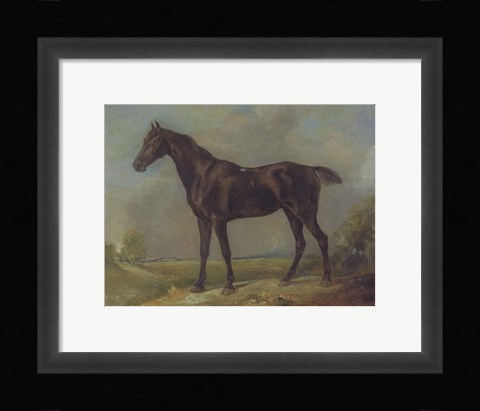 Framed Golding Constable's Black Riding-Horse Print