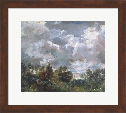 Framed Study of Sky and Trees Print