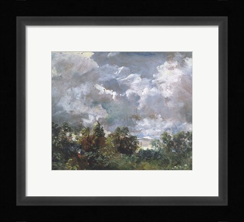 Framed Study of Sky and Trees Print